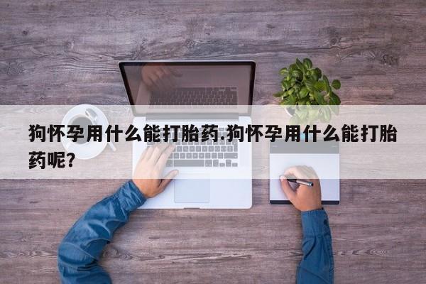 网上怎么购买流产药狗怀孕用什么能打胎药.狗怀孕用什么能打胎药呢？