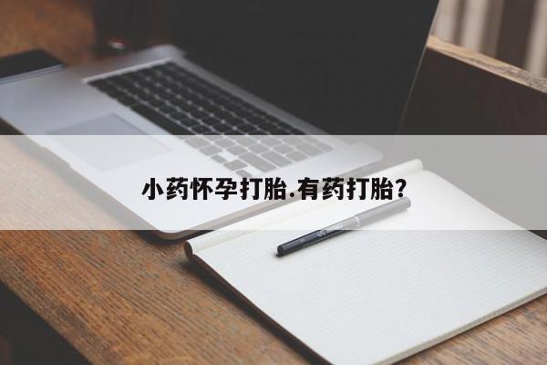 网上怎么购买流产药小药怀孕打胎.有药打胎？