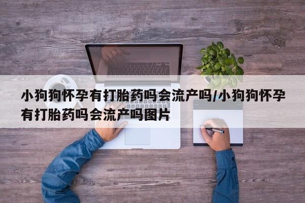 网上怎么购买流产药小狗狗怀孕有打胎药吗会流产吗/小狗狗怀孕有打胎药吗会流产吗图片