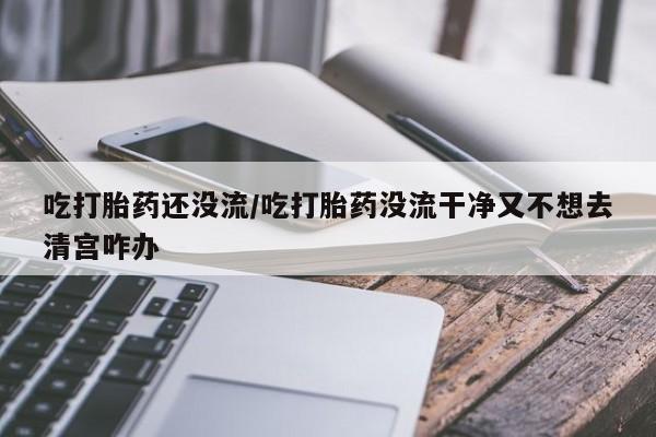 网上怎么购买流产药吃打胎药还没流/吃打胎药没流干净又不想去清宫咋办
