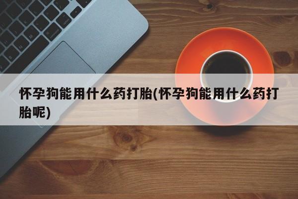 网上怎么购买流产药怀孕狗能用什么药打胎(怀孕狗能用什么药打胎呢)